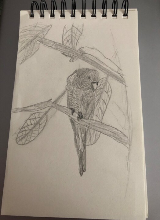 L’oiseau regardant a l’Est 图画, 8.1x5.5 in