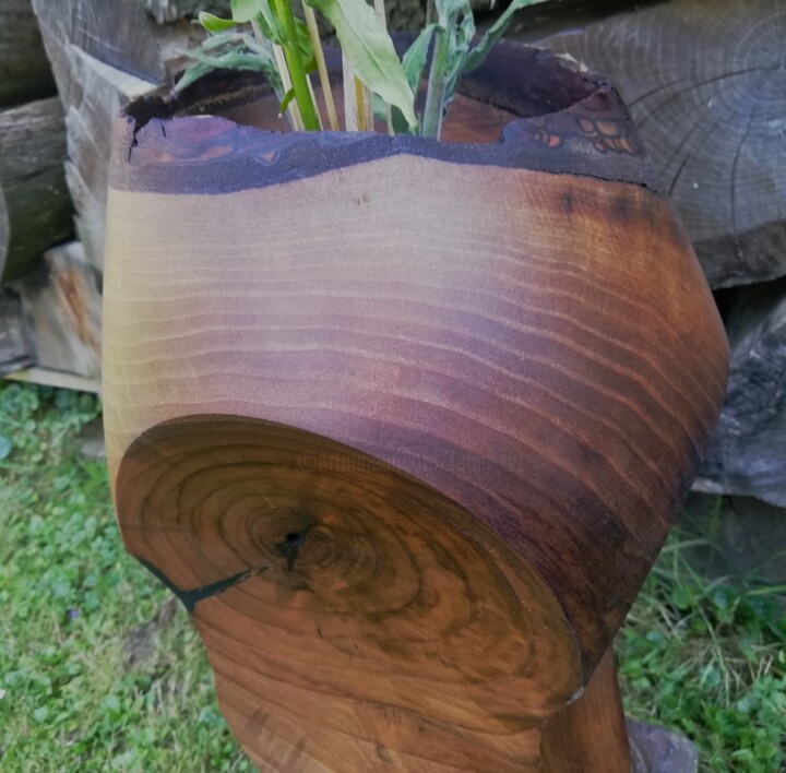 设计,  14.2x8.3 in 