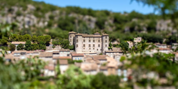 Mini Vogüé Photography, 19.7x39.4 in