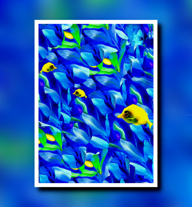 Yellow and Blue Fotoğraf