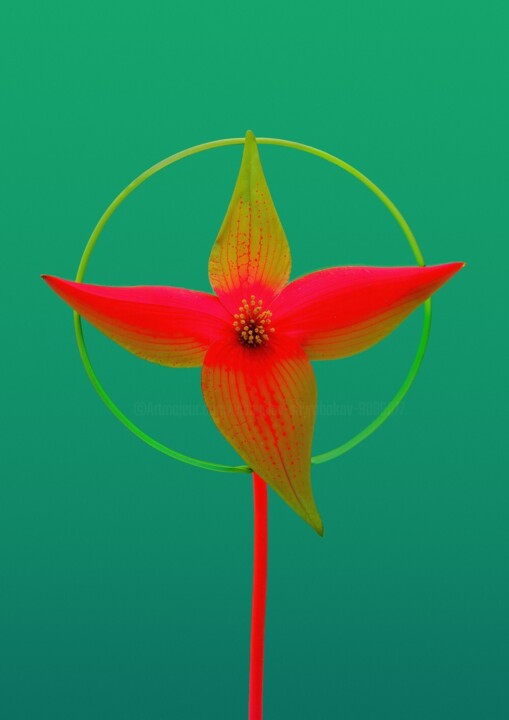 Minimalistic flower #2 Fotografia, 15,8x12,6 in