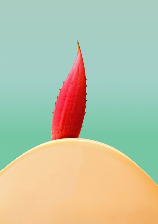 Minimalistic flower #11 Fotografie, 15,8x12,6 in