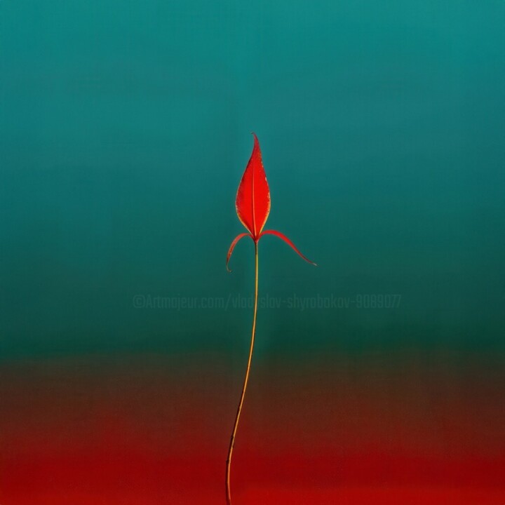 Photographie intitulée "Minimalistic flower…" par Vladyslav Shyrobokov, Œuvre d'art originale, Photographie numérique