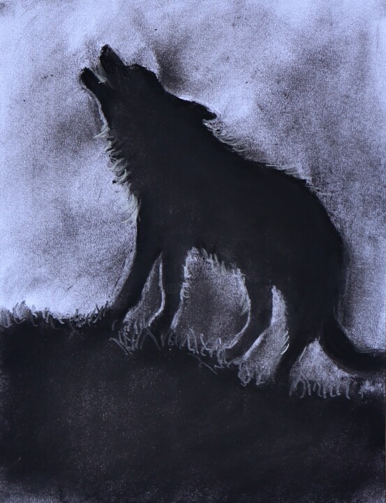 The wolf Drawing, 16x12 in
