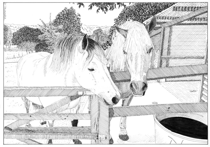 Drawing,  8.3x11.7 in 