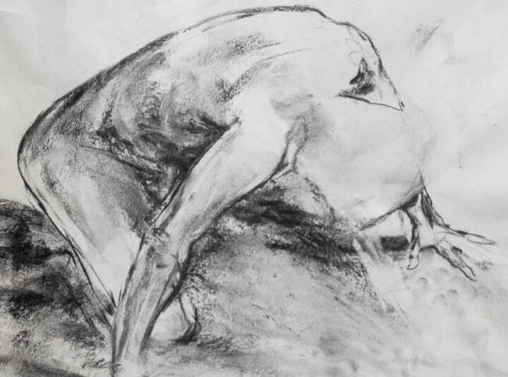 图画,  11.2x15.2 in 