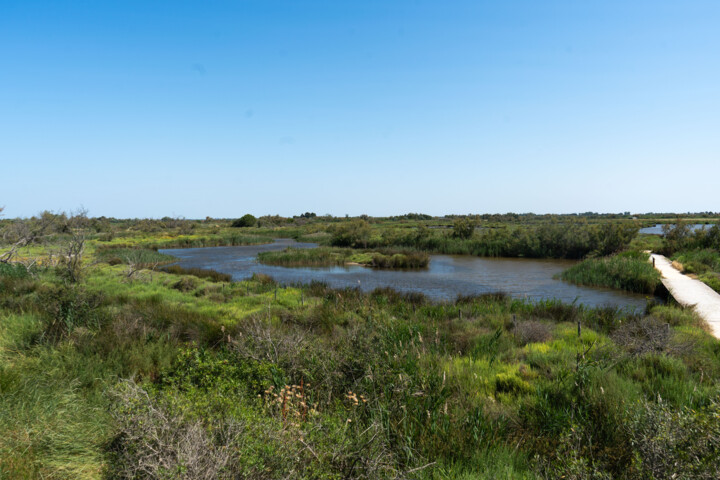 Photo paysage nature et sauvage du parc ornithologique Fotografie