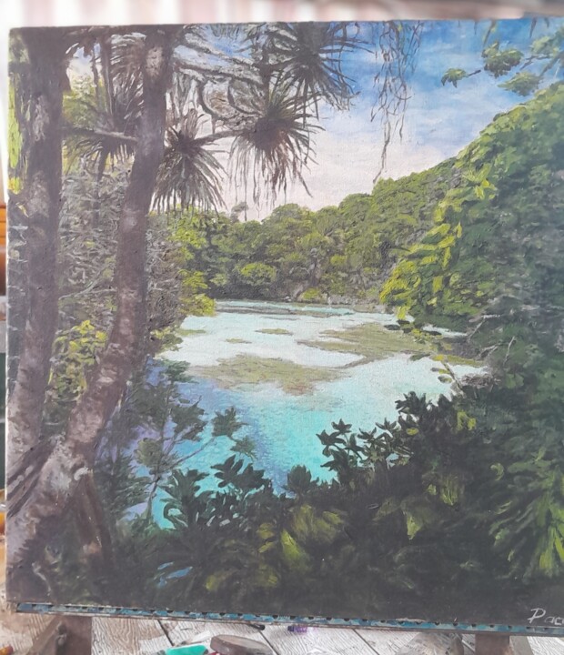 Mangrove du pacifique 绘画, 19.7x15.8 in