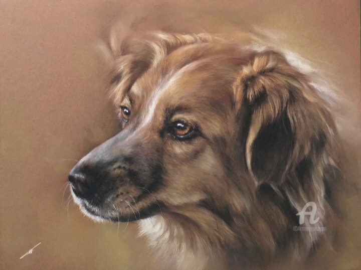 Perrito Рисунок, 11,8x15,8 in