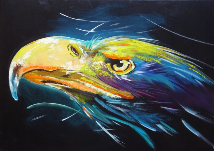white headed bald eagle Pittura, 19,7x27,6 in