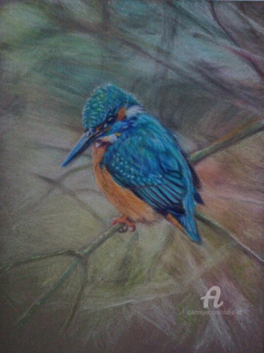 图画 标题为“Kingfisher Blue” 由Shar'S Art, 原创艺术品, 铅笔