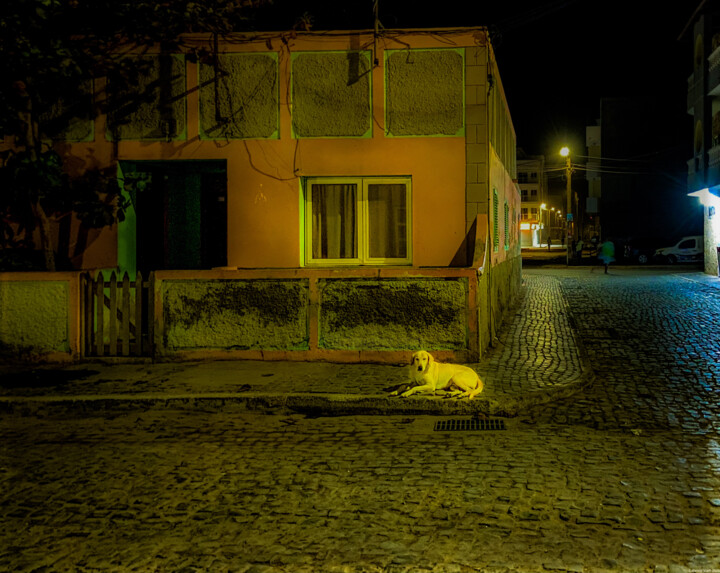 Apparizione notturna con cane bianco, Sal, Capo Verde 摄影