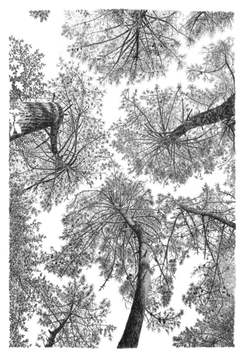 Arbres 99 Drawing, 39.4x27.6 in