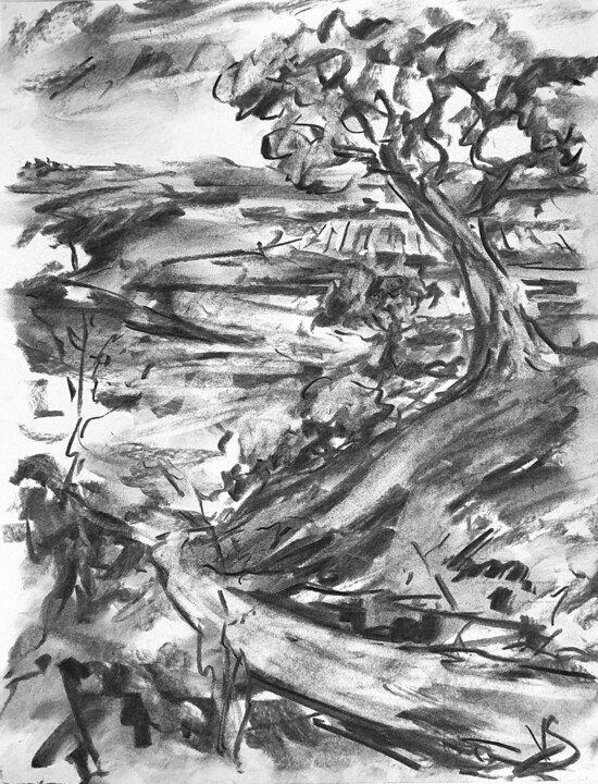 Drawing titled "Days." by Victoria General, Original Artwork, Charcoal