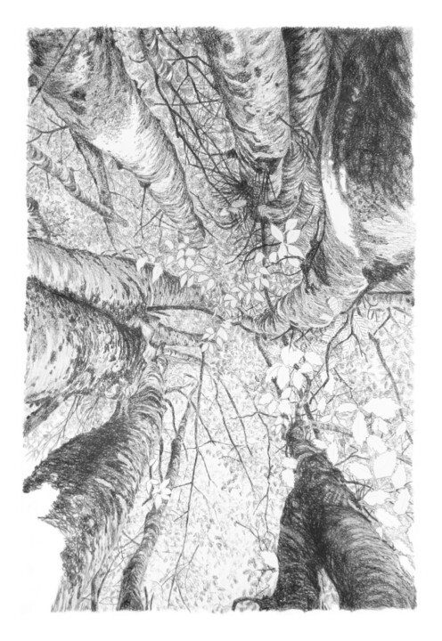 Arbres 104 Drawing, 27.6x19.7 in