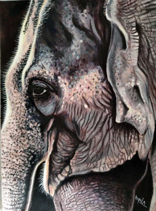 Wilderness Wisdom 绘画, 16x12 in