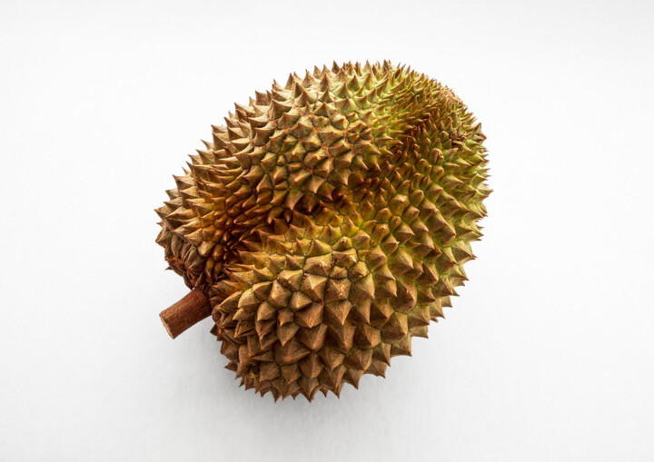 Armure végétale, le durian en lumière 摄影