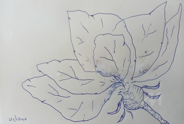 Flores en BANYOLES 图画, 5.5x8.3 in