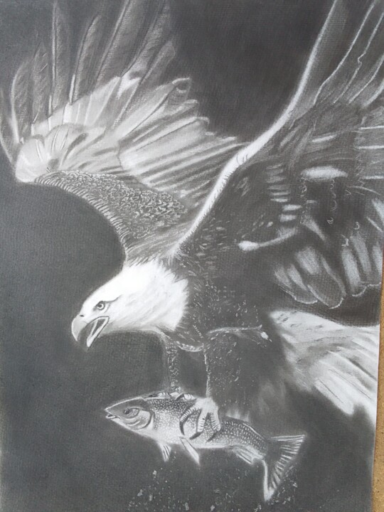 图画,  16.5x11.7 in 