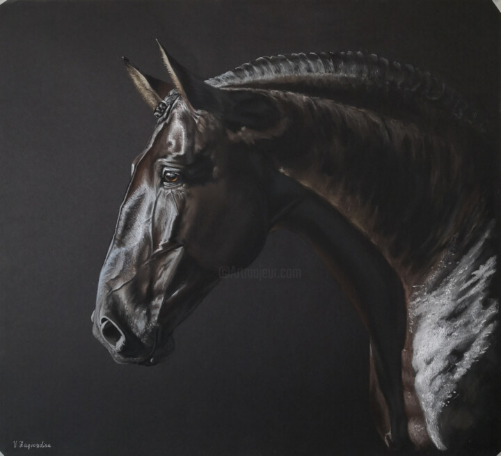 Luzitano 图画, 19.7x21.7 in