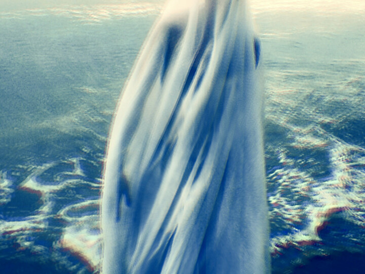 Mermaid and waves. 摄影