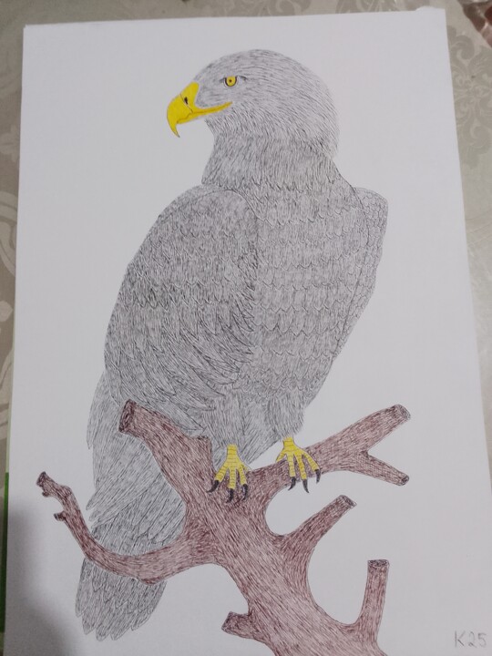Rapina águia 绘画, 16.5x23.2 in