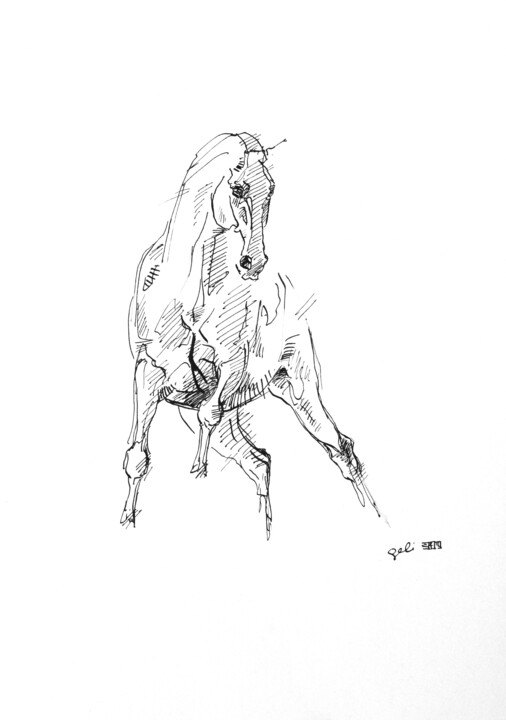 Nu Equin 268 图画, 11.6x8.3 in