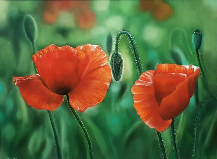 Coquelicots 绘画, 11.8x15.8 in