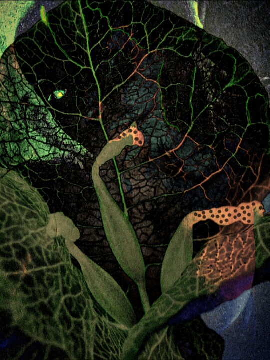 Portrait of a girl in foliage on black 摄影