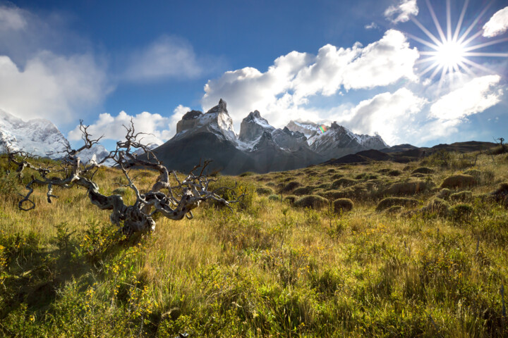 Torres del Paine the Sun 绘画, 45.3x72.8 in