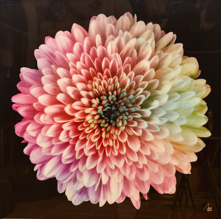 绘画,  47.2x47.2 in 