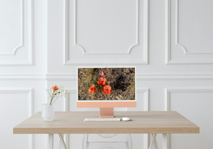 Kunstwerk in situatie