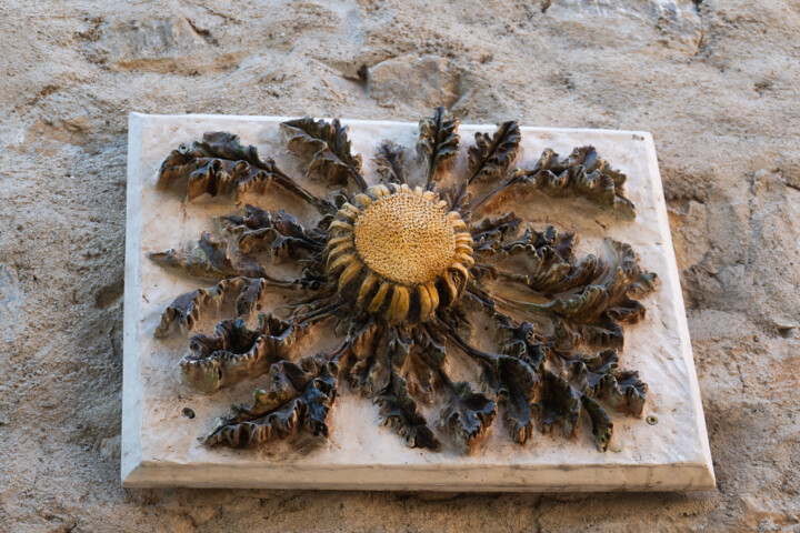 Fotografie getiteld "Fleur de Cardabelle…" door Coralie Dauzats, Origineel Kunstwerk, Digitale fotografie