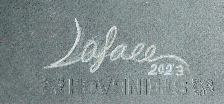 Dodatkowe odsłony 5