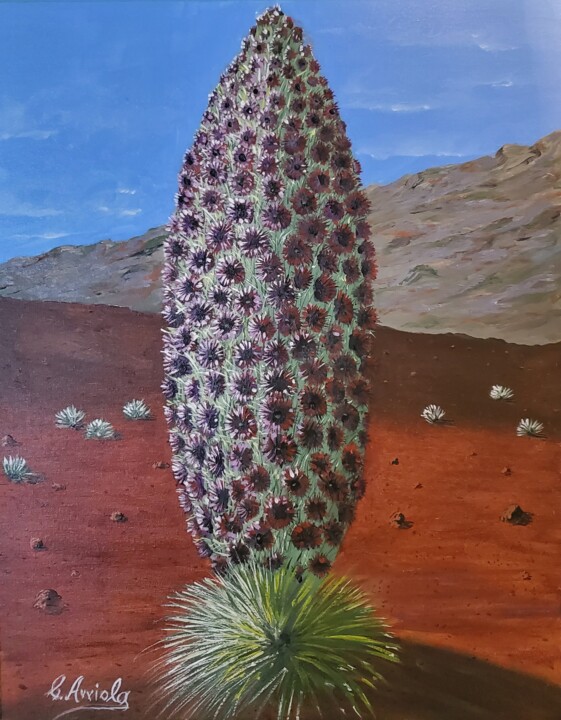 "HALEAKALA SILVER SW…" başlıklı Tablo Carlos Arriola tarafından, Orijinal sanat, Petrol