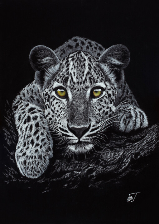 "Elegance in Contrast" başlıklı Resim Dewald Basson tarafından, Orijinal sanat, Karakalem Diğer sert panel üzerine monte edi…