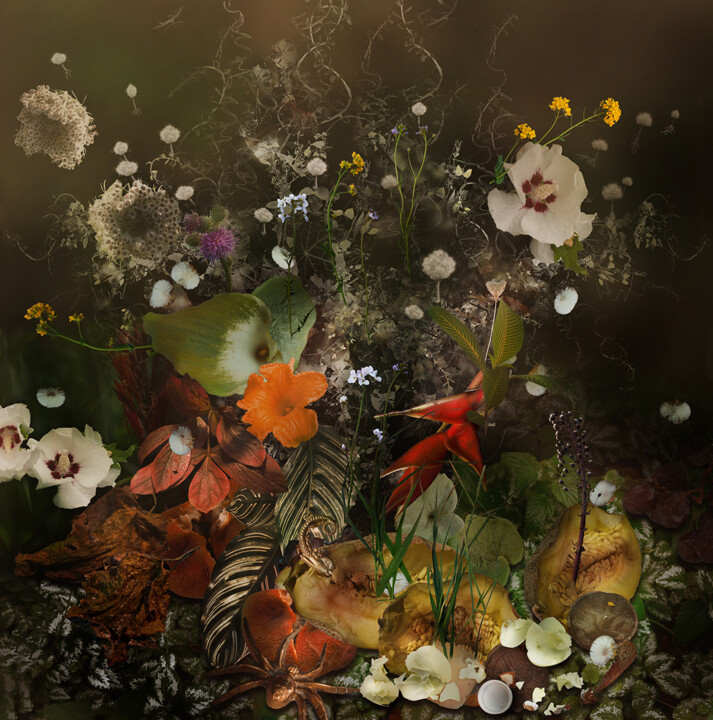 Φωτογραφία με τίτλο "From rotten fruit" από Mariska Karto, Αυθεντικά έργα τέχνης, Ψηφιακή φωτογραφία