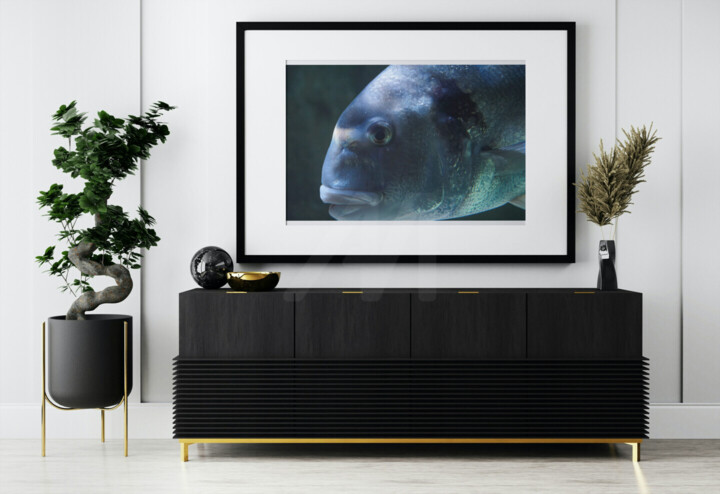 Werk ingelijst gepresenteerd