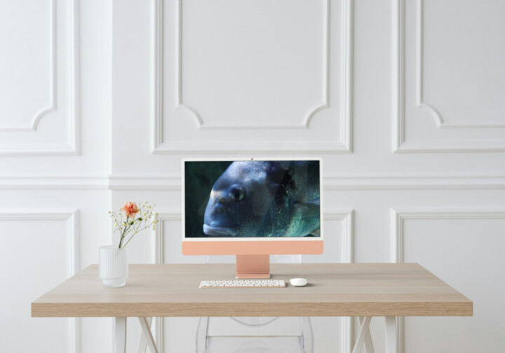 Kunstwerk in situatie