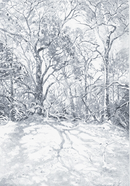 Dessin intitulée "Зимний полдень в Ле…" par Roman Malysev, Œuvre d'art originale, Crayon