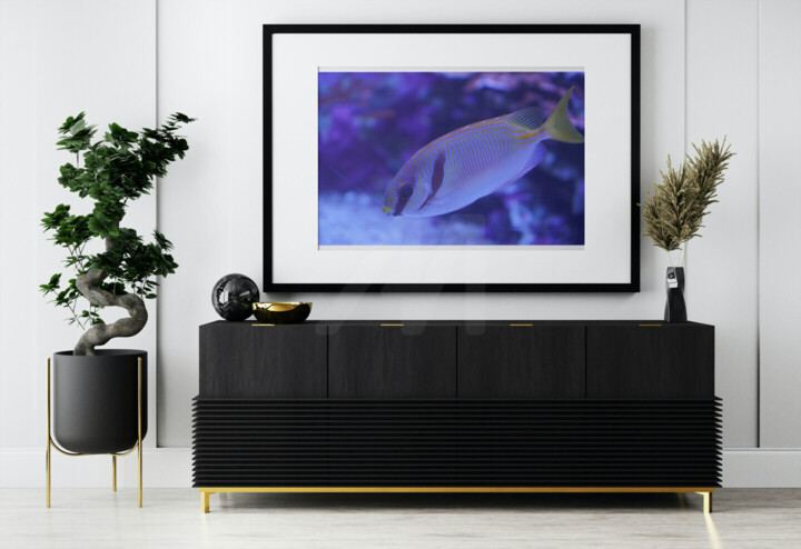 Werk ingelijst gepresenteerd