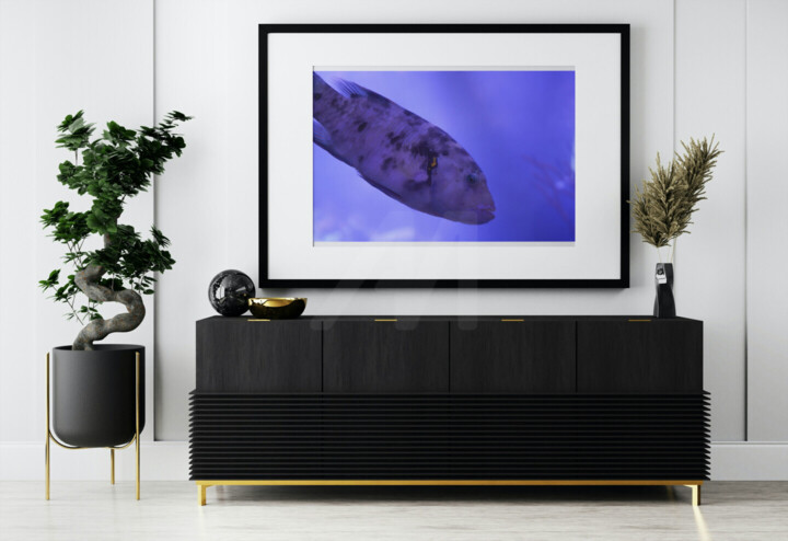 Werk ingelijst gepresenteerd