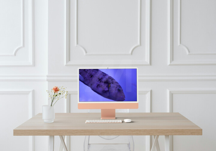 Kunstwerk in situatie