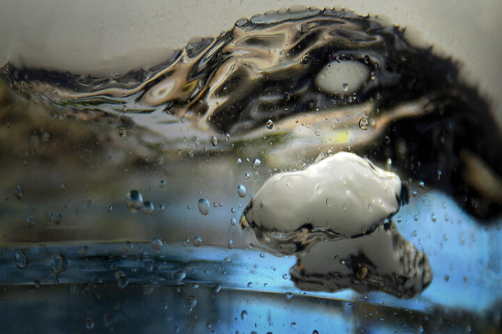 Photography titled "Protected By Dragon…" by Karel Jan Willem Fehr, Original Artwork, Digital Photography