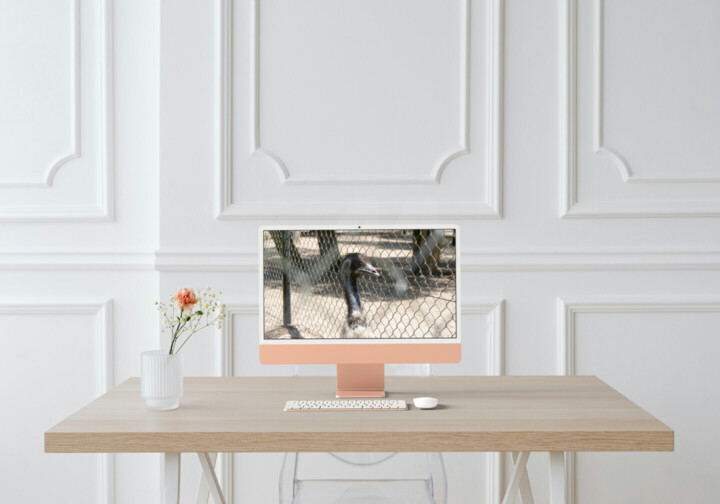 Kunstwerk in situatie