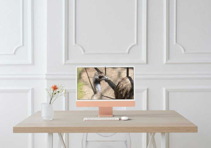 Artwork in situation