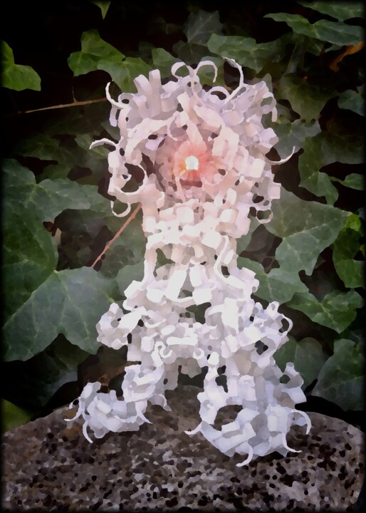 Φωτογραφία με τίτλο "DISCOVERY OF THE AN…" από Elwe, Αυθεντικά έργα τέχνης, Ψηφιακή φωτογραφία