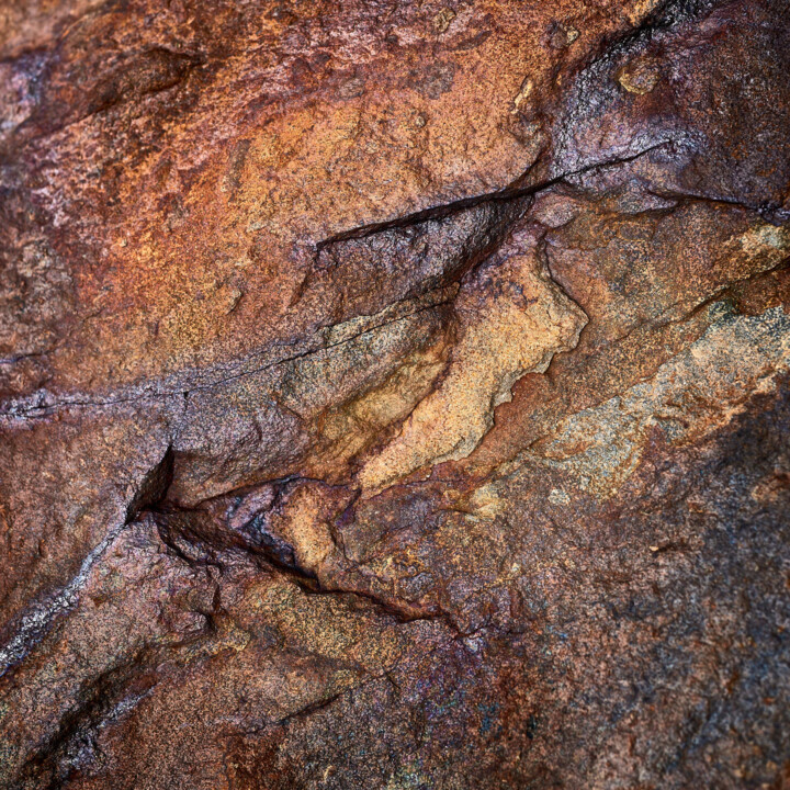 Fotografia intitulada "Something in the ro…" por Dean Buckfield, Obras de arte originais, Fotografia digital