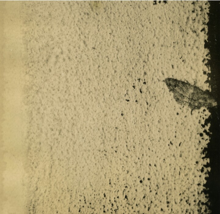 Фотография под названием "The wall and the mo…" - Ira Kolominova, Подлинное произведение искусства, Пленочная фотография