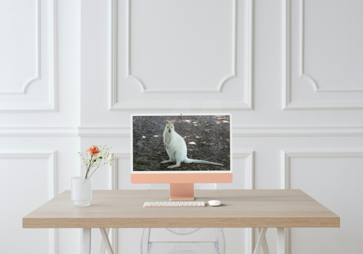 Kunstwerk in situatie